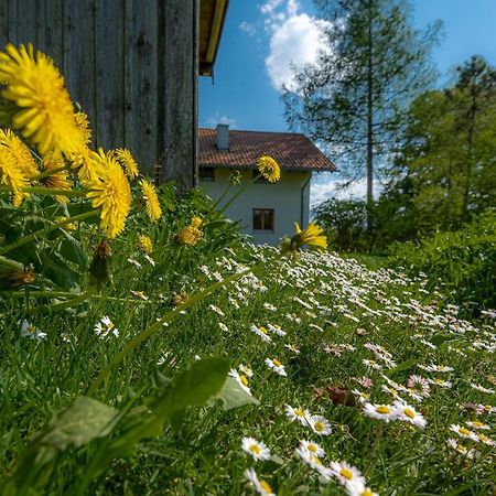 Ferienhaus Schlierachtal Мисбах Экстерьер фото